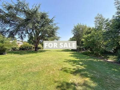 Property For Sale