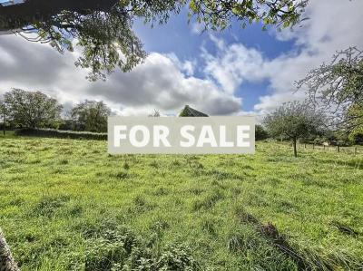Detached Country House with Outbuilding