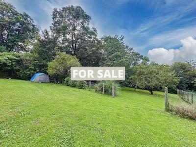 Detached House with Lovely Garden