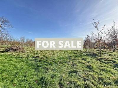Detached Country House with Open Views