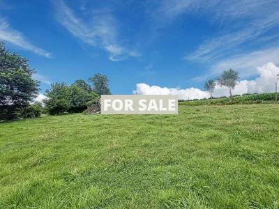 Detached Country House with Open Views