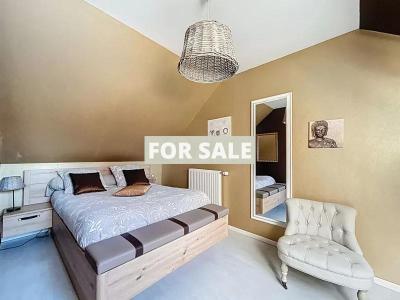 Vast Detached Country House with Guest Gite