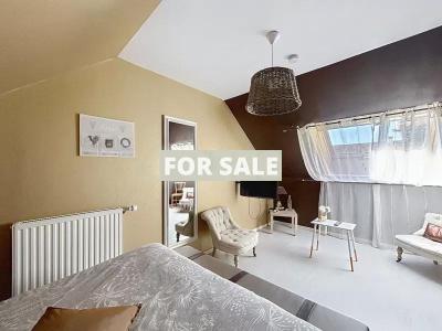 Vast Detached Country House with Guest Gite