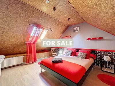 Vast Detached Country House with Guest Gite
