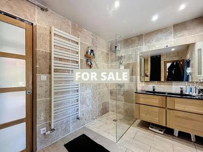 Vast Detached Country House with Guest Gite