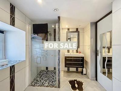 Vast Detached Country House with Guest Gite