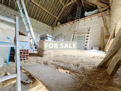 Detached Country House with Outbuilding