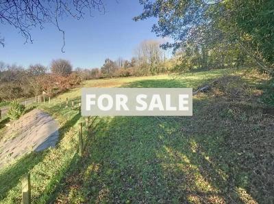 Detached Country House with Open View