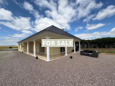 Contemporary Detached House