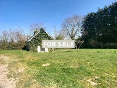 Detached Country House with Outbuilding