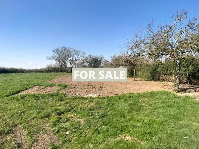 Detached Country House with Outbuilding