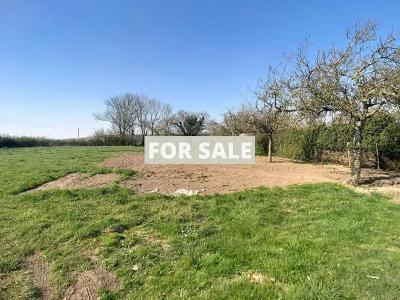 Detached Country House with Outbuilding