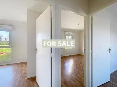 Contemporary Detached House