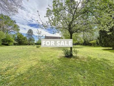 Property For Sale