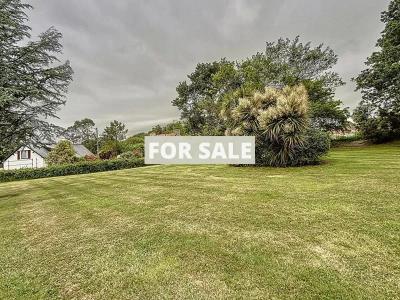 Property For Sale