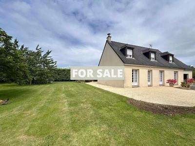 Property For Sale