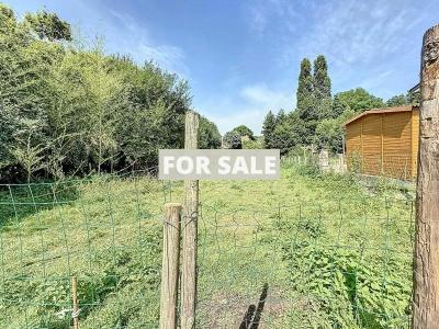 Property For Sale