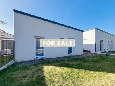 Contemporary Detached House