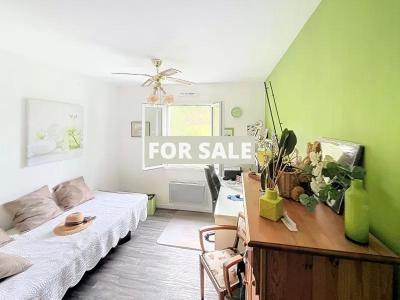 Stunning Detached House with Amazing Garden