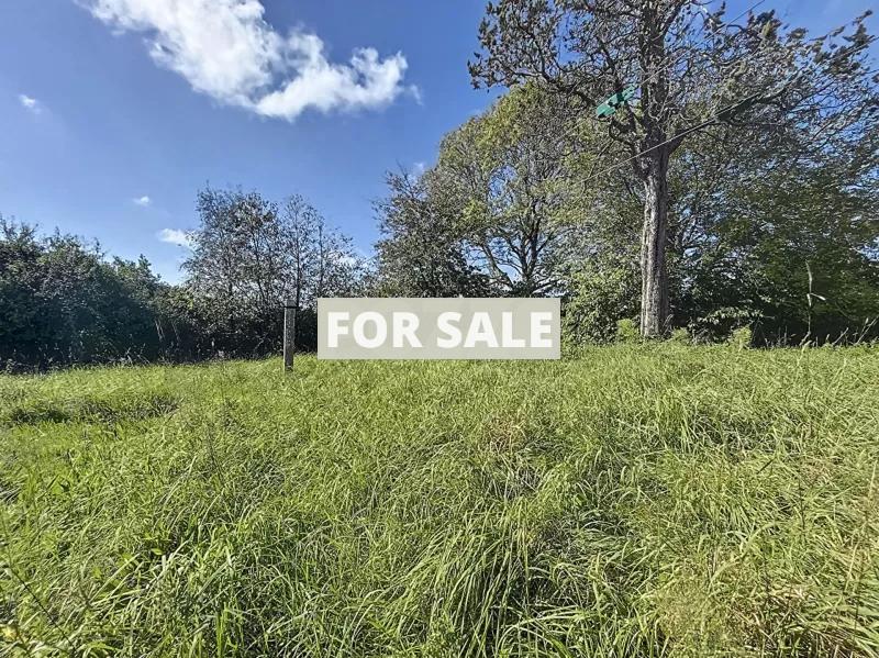 Property For Sale