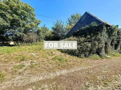 Detached Country House with Outbuildings