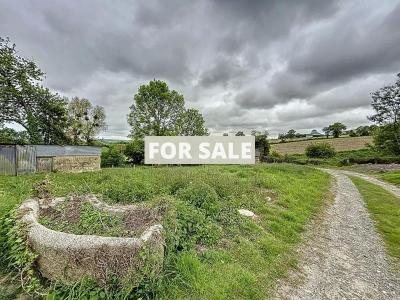 Detached Country House with Outbuildings