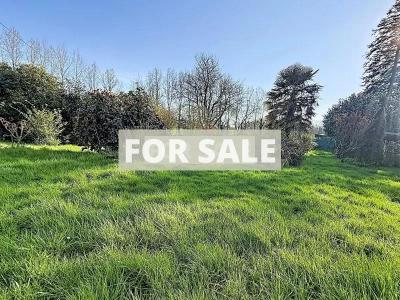 Detached Country House with Guest Cottage