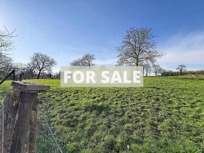 Detached Country House with Guest Cottage