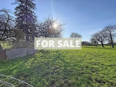 Detached Country House with Guest Cottage