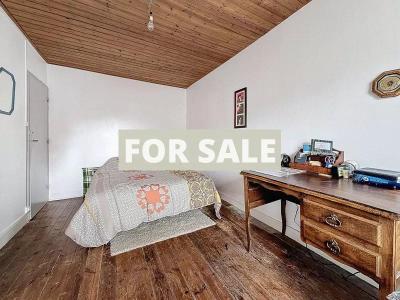 Town House with Neat Garden, Ideal Holiday Home