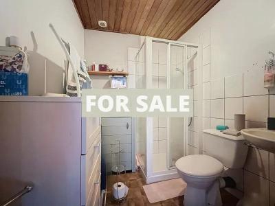 Town House with Neat Garden, Ideal Holiday Home