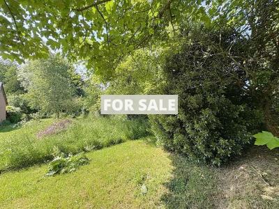 Detached Country House with Outbuilding