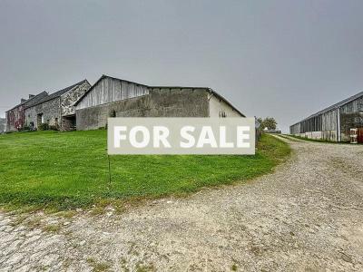 Farmhouse with Outbuildings by the Coast
