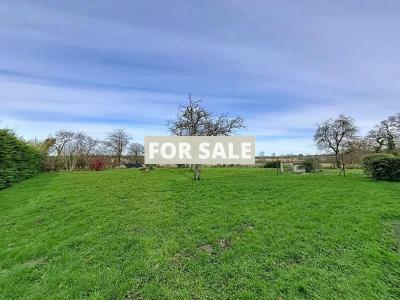 Detached Country House with Open Views