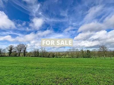 Collection of Barns to Renovate in the Countryside