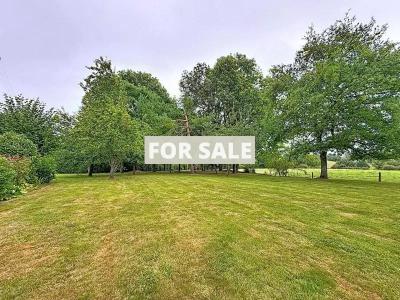 Property For Sale