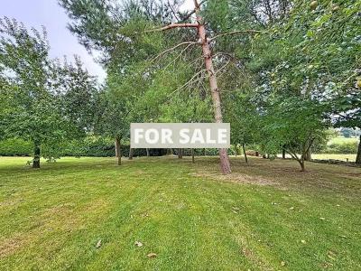 Property For Sale