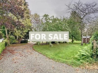 Large Detached House with Lovely Garden