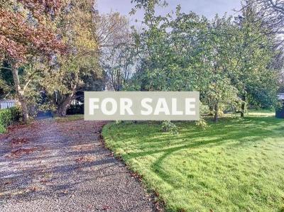 Large Detached House with Lovely Garden