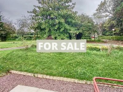 Large Detached House with Lovely Garden