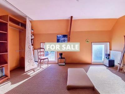 Detached Country House with Outbuilding