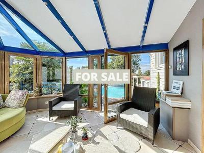 Beautiful House with Swimming Pool