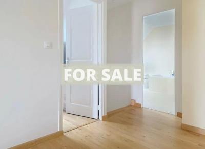 Modern Detached House with Garden