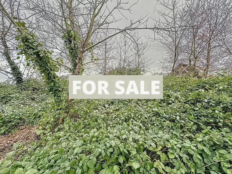 Detached Country House to Renovate