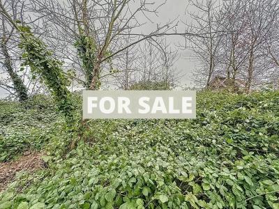 Detached Country House to Renovate
