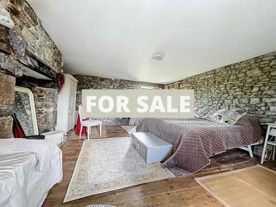 Large Detached House with Lovely Garden