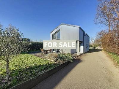 Contemporary House with Landscaped Garden