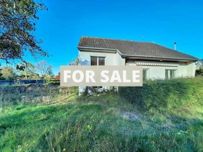 Detached House with Garden