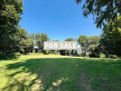 Detached Country House with Open Views