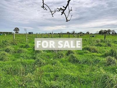 Detached Country House with Open Views